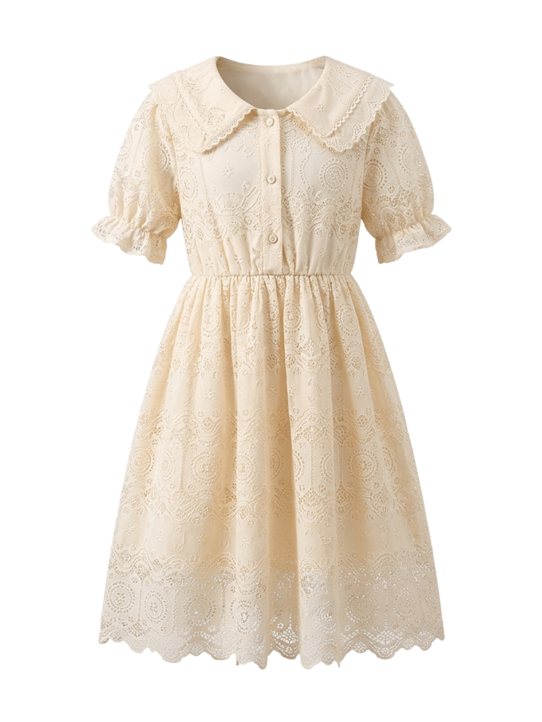 Dress Girl Butterfly Lace Dove