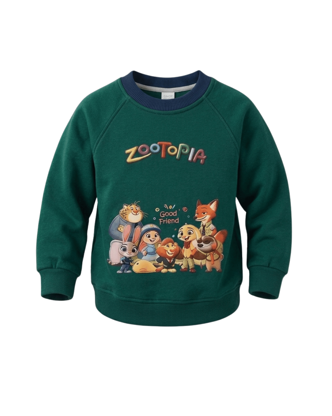 SWEATER BOYS ZOO FUNKY